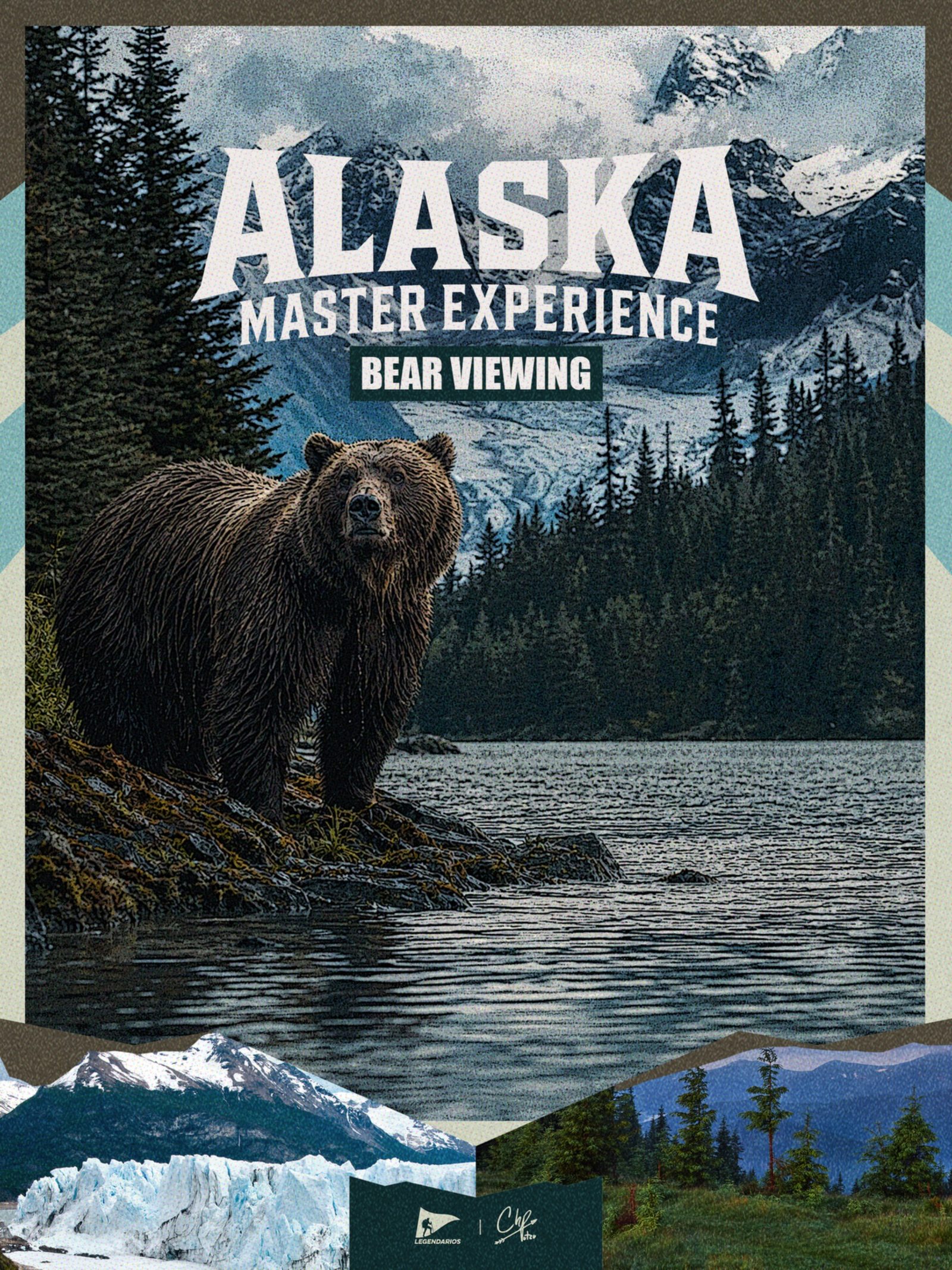 Bear Viewing